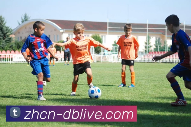 多媒体互动体验