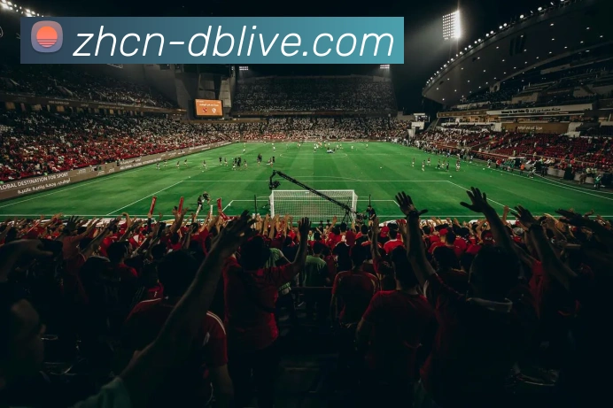 DB真人APP 高清赛事图